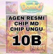 Agen Chip Md Resmi